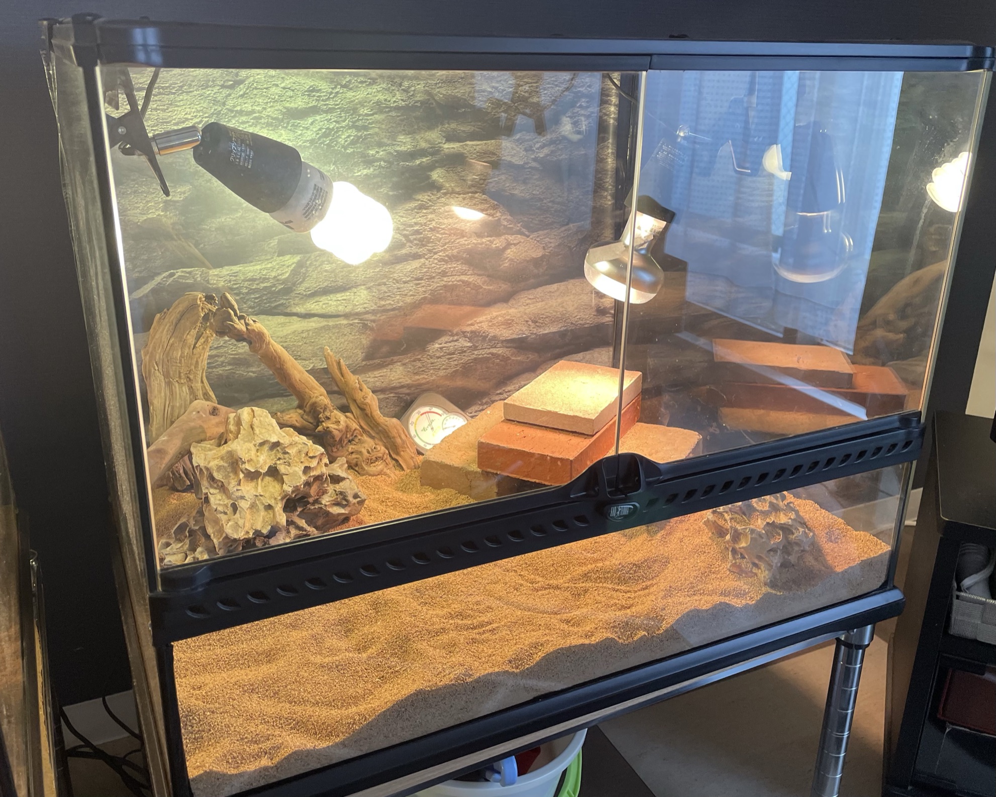 グラステラリウム6045をレビュー】爬虫類を飼うなら最強の飼育ケージ