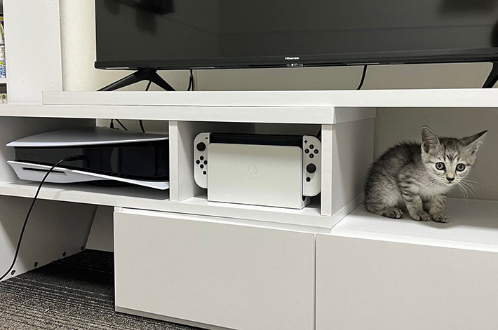 まさに三種の神器」「私も欲しい」 PS5やSwitchに並び、テレビ下に収納