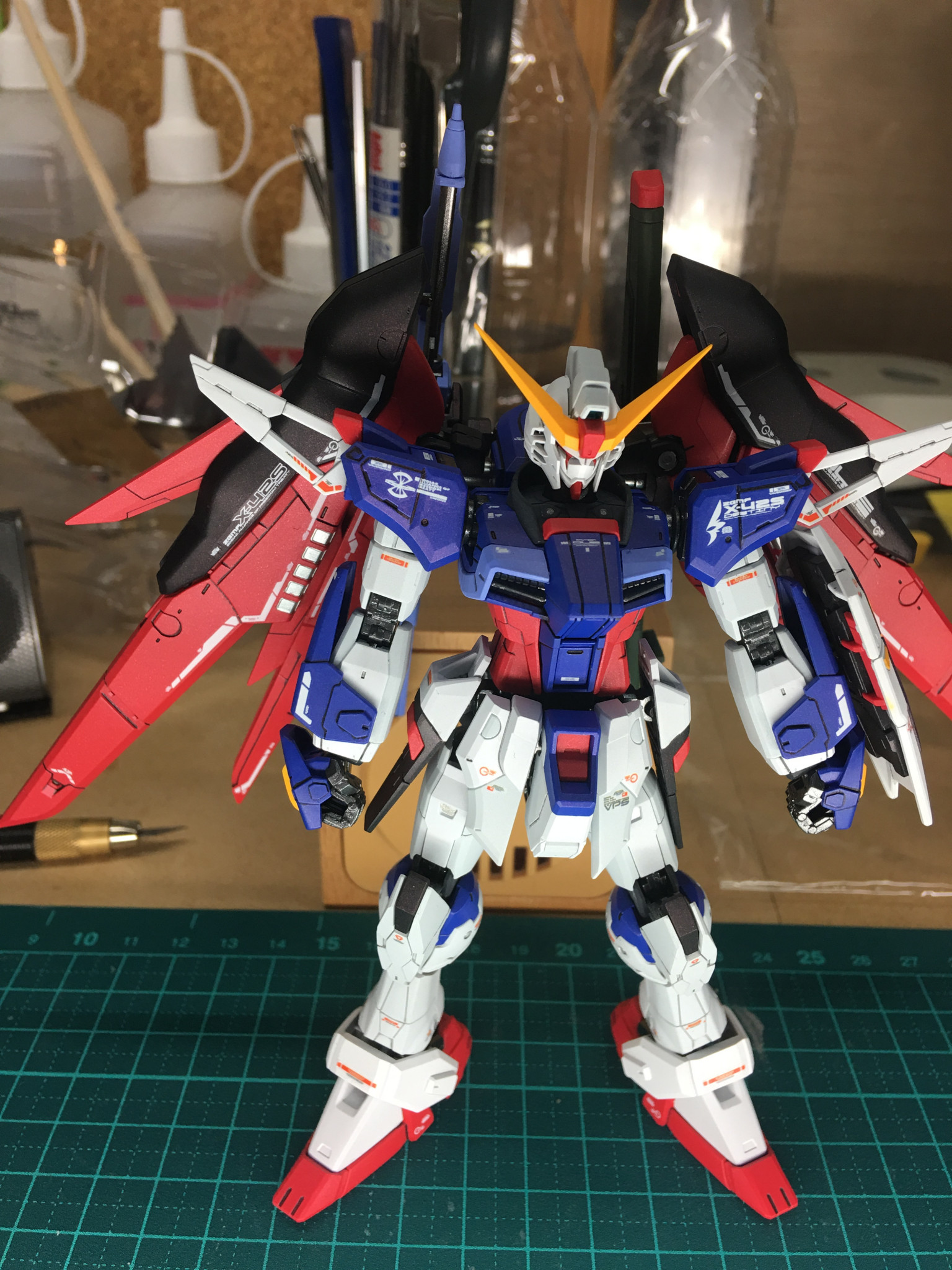 RG デスティニーガンダム 全塗装｜nimurodeさんのガンプラ作品