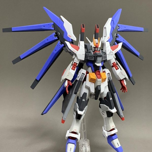 HG アメイジングストライクフリーダムガンダム（フルアメイジング風