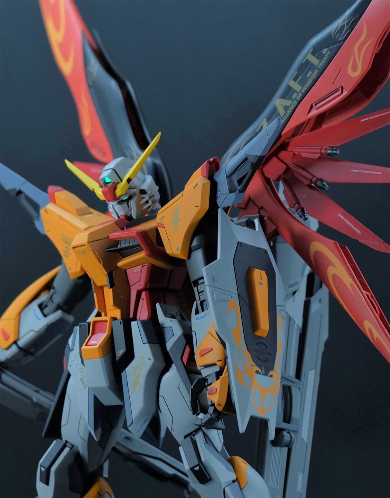 MG デスティニーガンダム ハイネ機｜Tomato.nitさんのガンプラ作品
