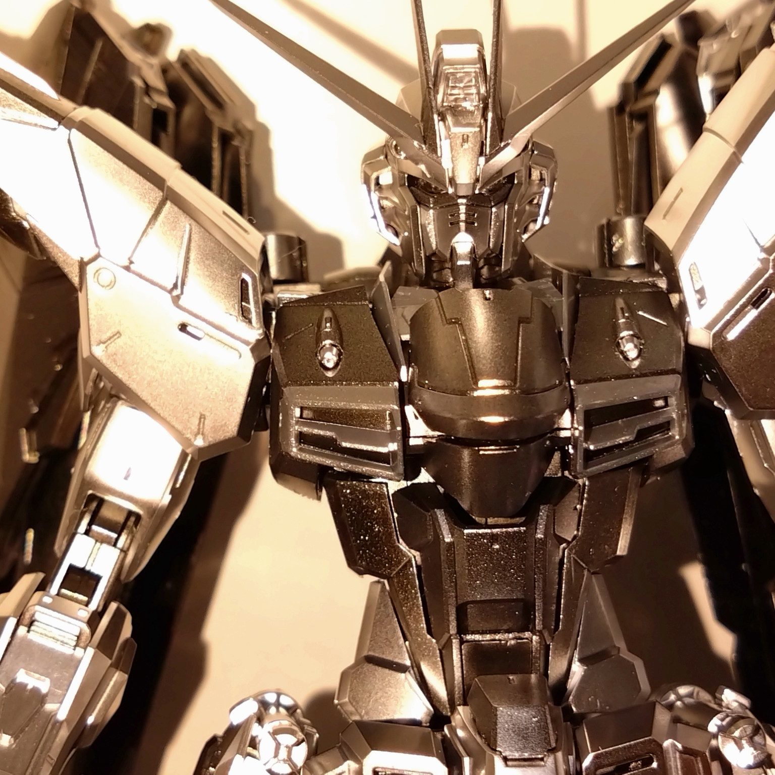 成型色の部分を塗装したシルバーコーティングフリーダム｜Neoさんの