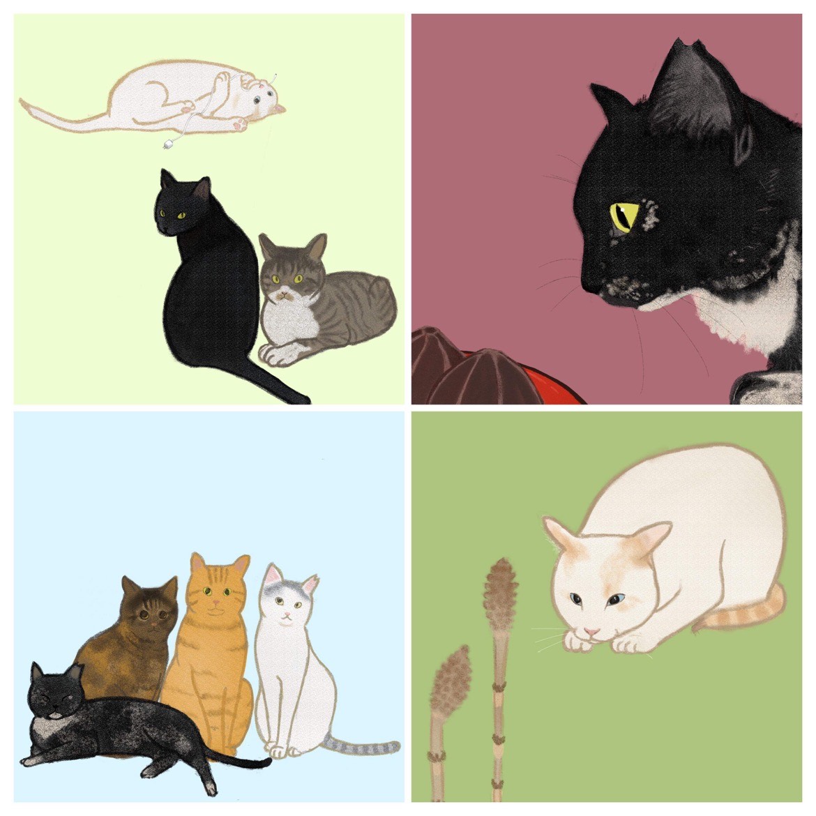 やまねこカレンダー2023 完売しました。 ｜ 古民家ゲストハウス やまねこ