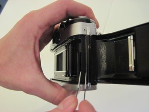 Z2USKZQdnlRGoinq.standard