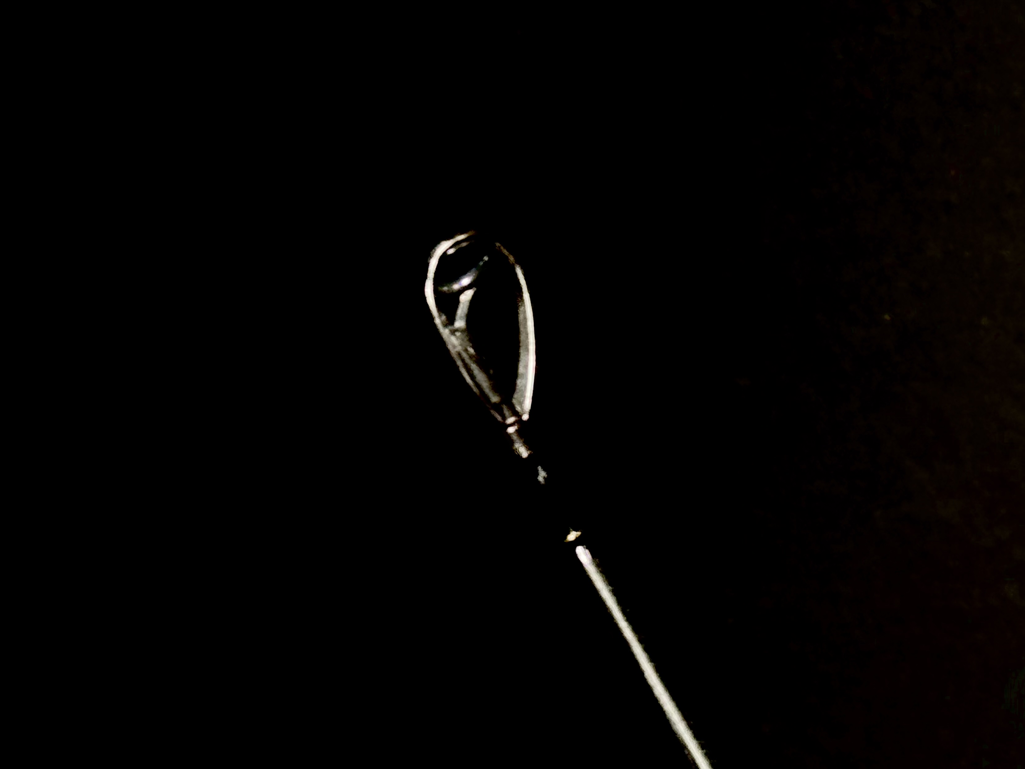 BlackWing XBWC-66 The