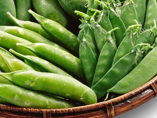 春の食材エンドウ豆 絹サヤ、グリーンピース、豆苗との違いと系図