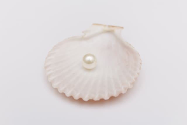 スキャロップパール (天然帆立貝から希少な大きなパール)、鑑定書付き