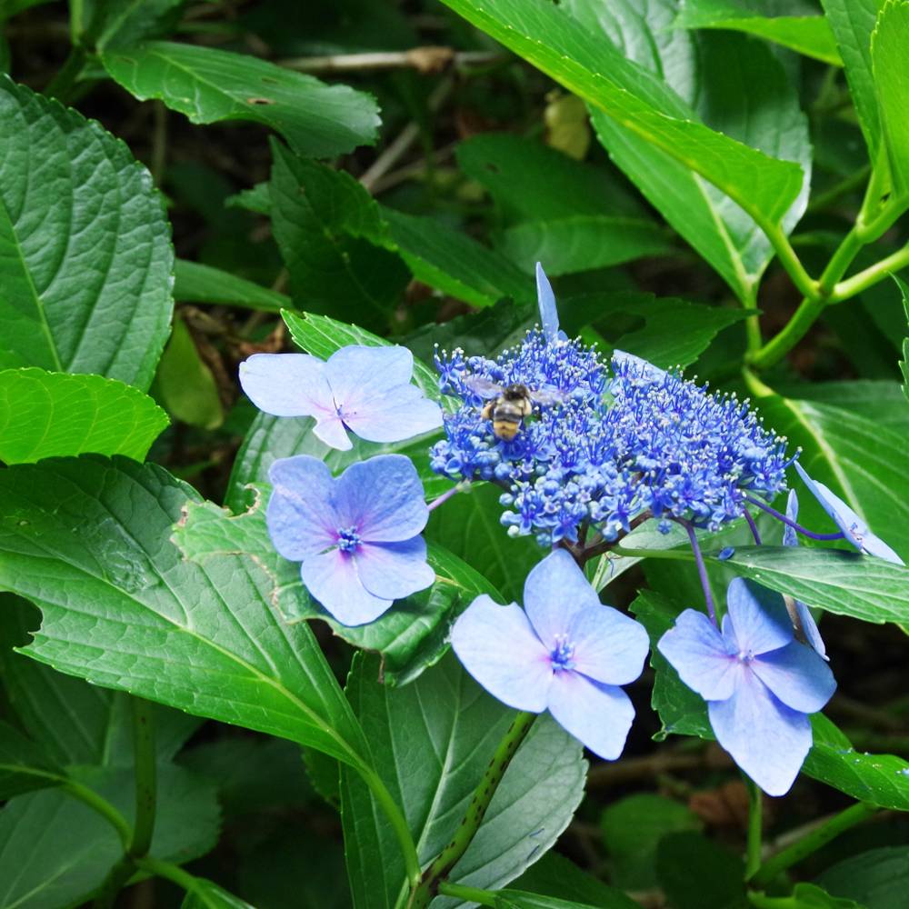 000000050879-07.jpg?size=l&w=