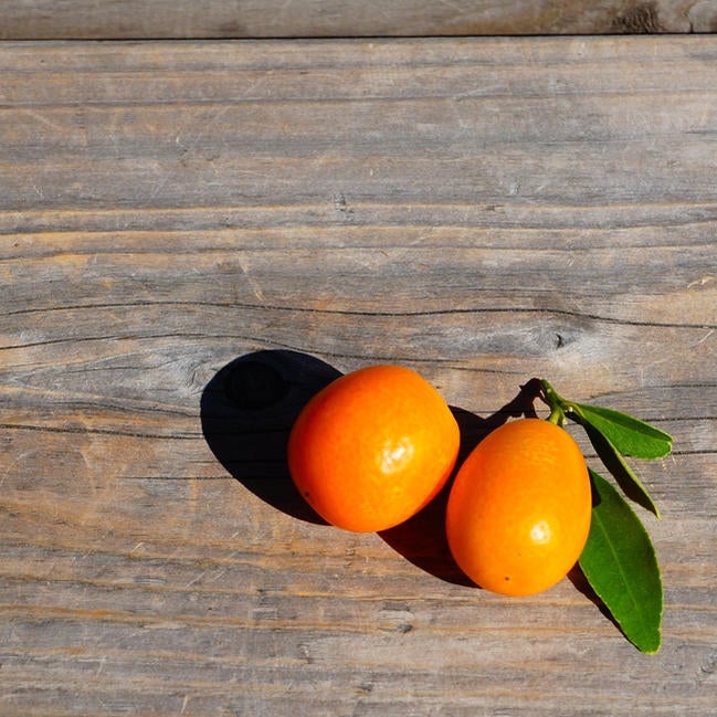 000000004459-02.jpg?size=l&w=