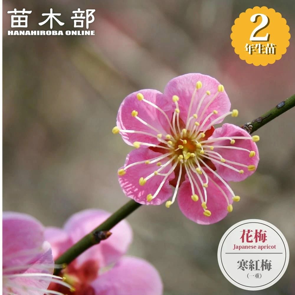 000000136171-01.jpg?size=m&w=