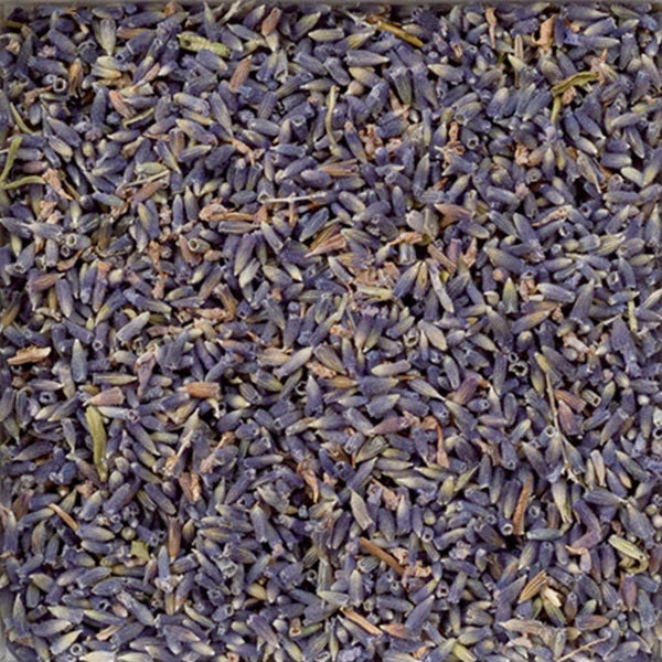 ハーブミニパック】ラベンダー – 紅茶とバウムのお店「花水木」