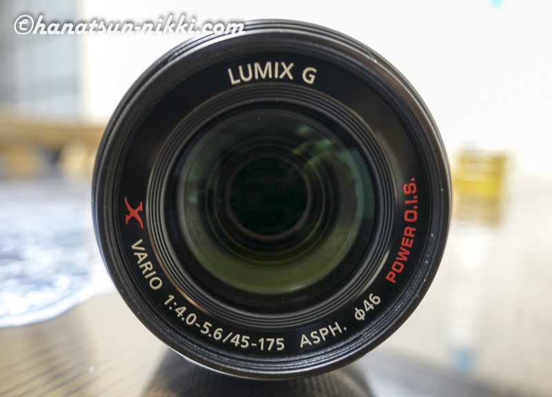 パナ望遠 PZ 45-175mm/F4.0-5.6 がやってきた♪ | あずきとくるみの鼻