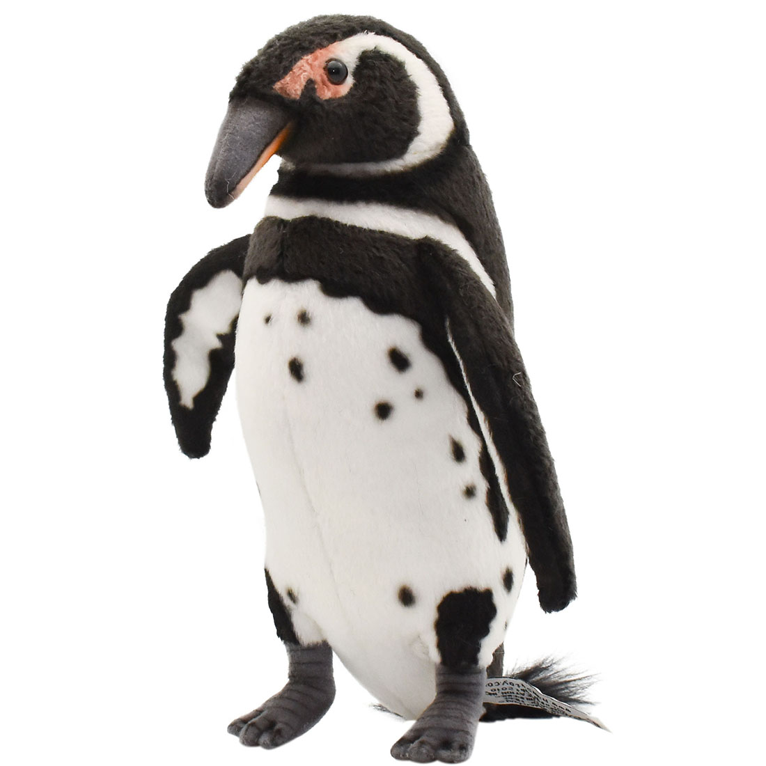 ガラパゴスペンギン 23 | HANSA