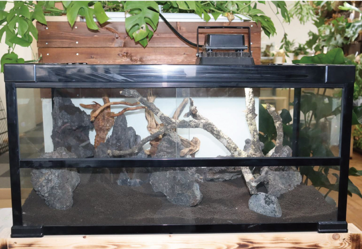 当社オリジナルケージ専用に作られたメッシュケージ乗せるだけで