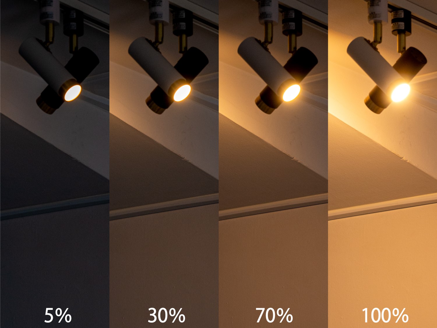 スポットライト NOSH ノーシュ｜ライト・照明｜スポットライト