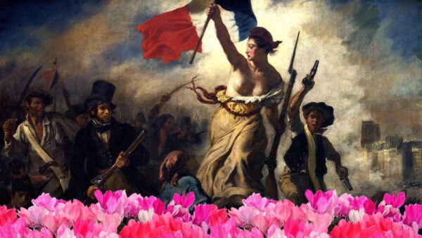 シクラメン革命期到来！シクラメンの歴史が変わる | 株式会社ハクサン