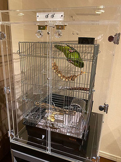 ハッピーケース／インコ・鳥さんのアクリルケース、バードゲージ