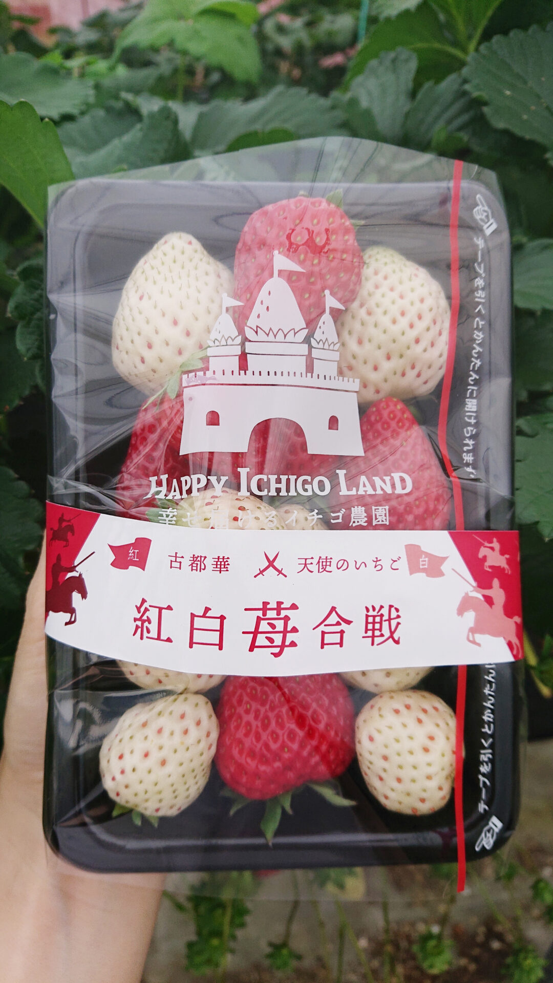 商品情報 - HAPPY ICHIGO LAND 幸せ届けるイチゴ農園