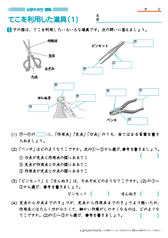 小学6年生 理科 学習問題プリント｜ちびむすドリル【小学生】