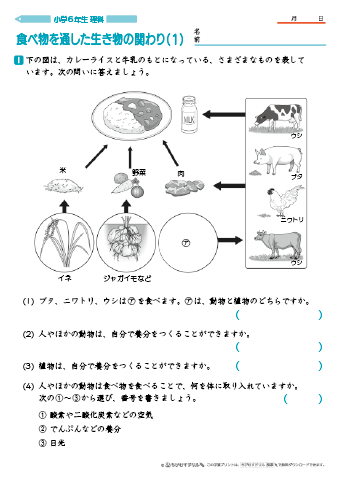 小学6年生 理科 学習問題プリント｜ちびむすドリル【小学生】