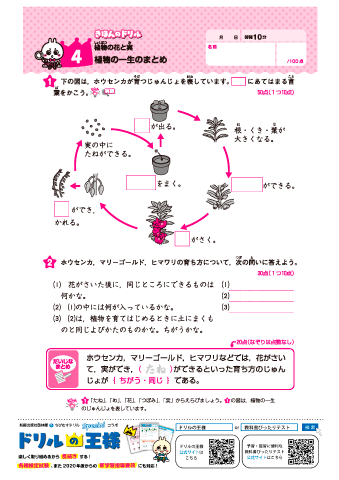 理科ドリル「3年の理科」 無料ダウンロード｜ドリルの王様 大特集
