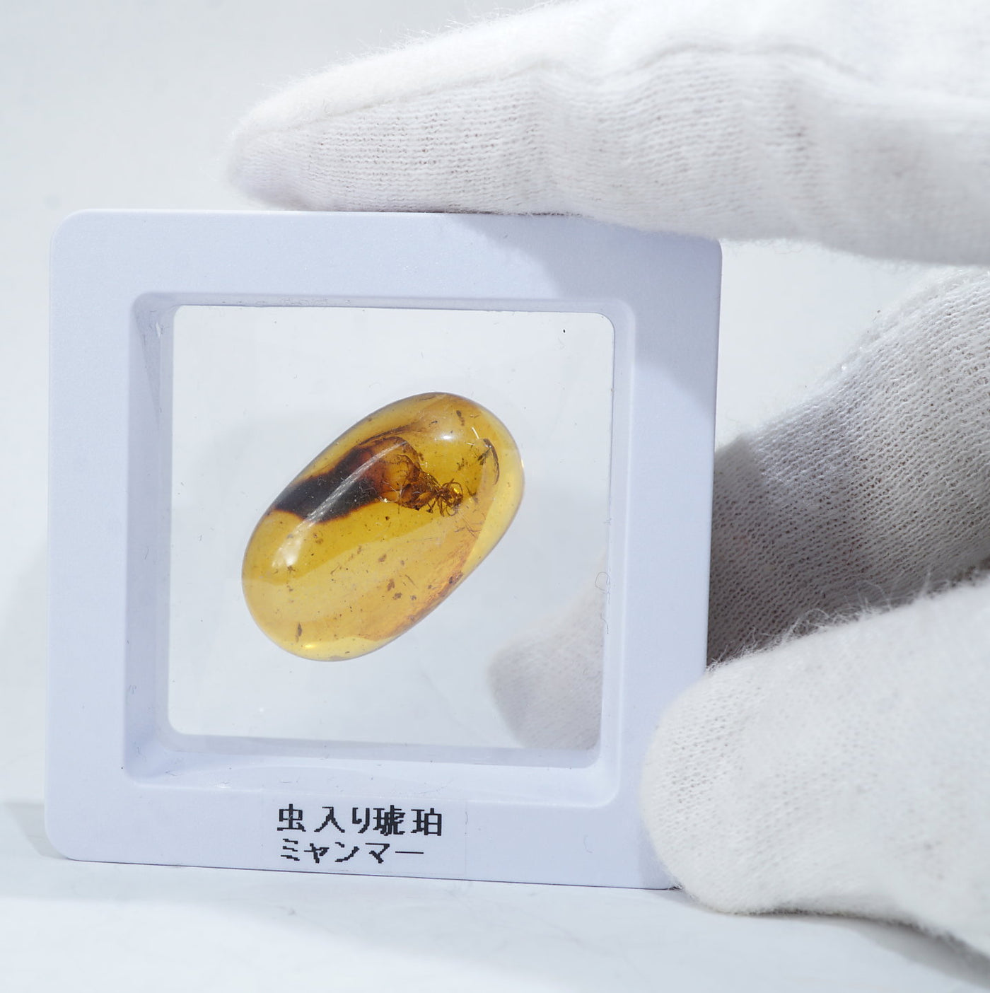 ミャンマー産虫入り琥珀 – 天然石ハッピーギフト