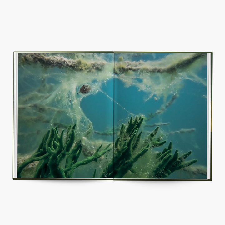 Hans-Christian Schink | Under Water – Hartmann Books