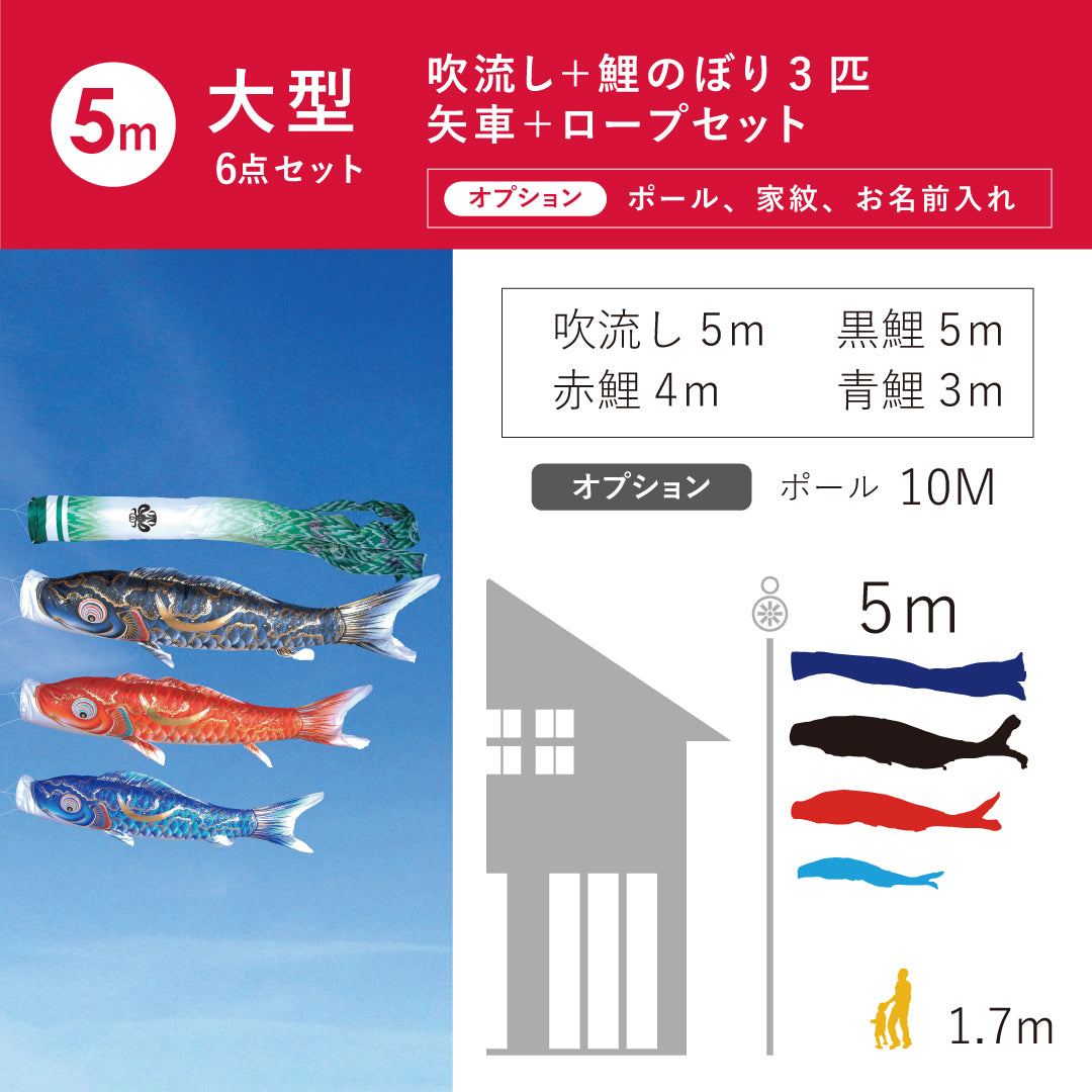 金彩弦月之鯉【豪】6点大型セット – 晴れと暮らす