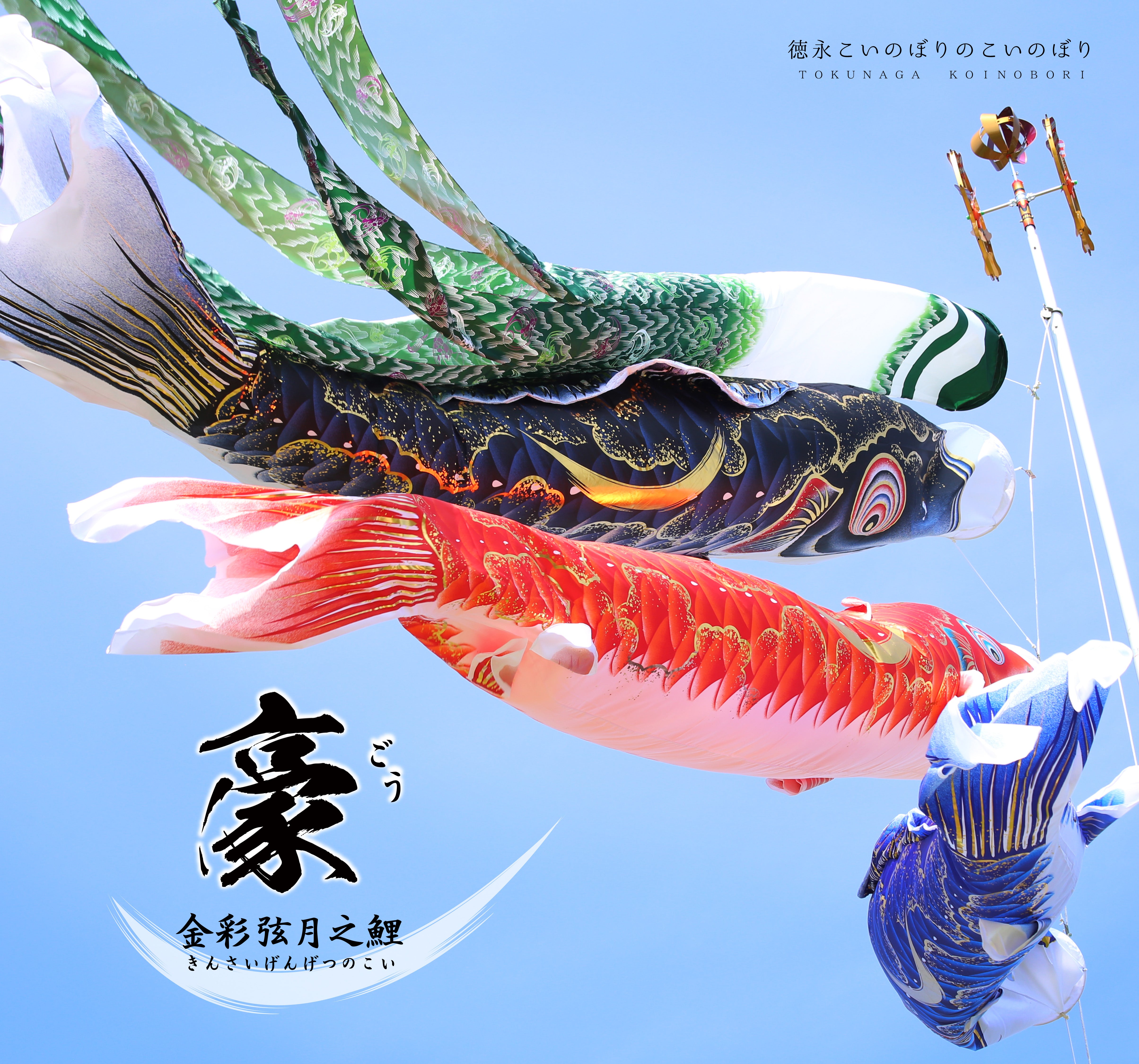 金彩弦月之鯉【豪】6点大型セット – 晴れと暮らす