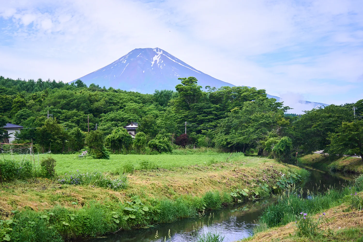 富士ドライブ旅Vol.03／富士山の“霊水”と“大地”を巡る・忍野八海と