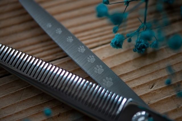 ドッグ シザーズ ジャパン マロン(Marron)セニング（Thinning） DIV