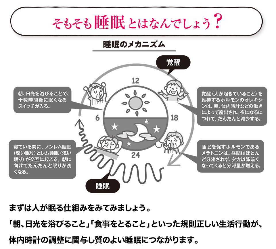 利用者がよく使う薬の知識Q&A＜睡眠薬＞ | 【へるぱる】訪問介護を