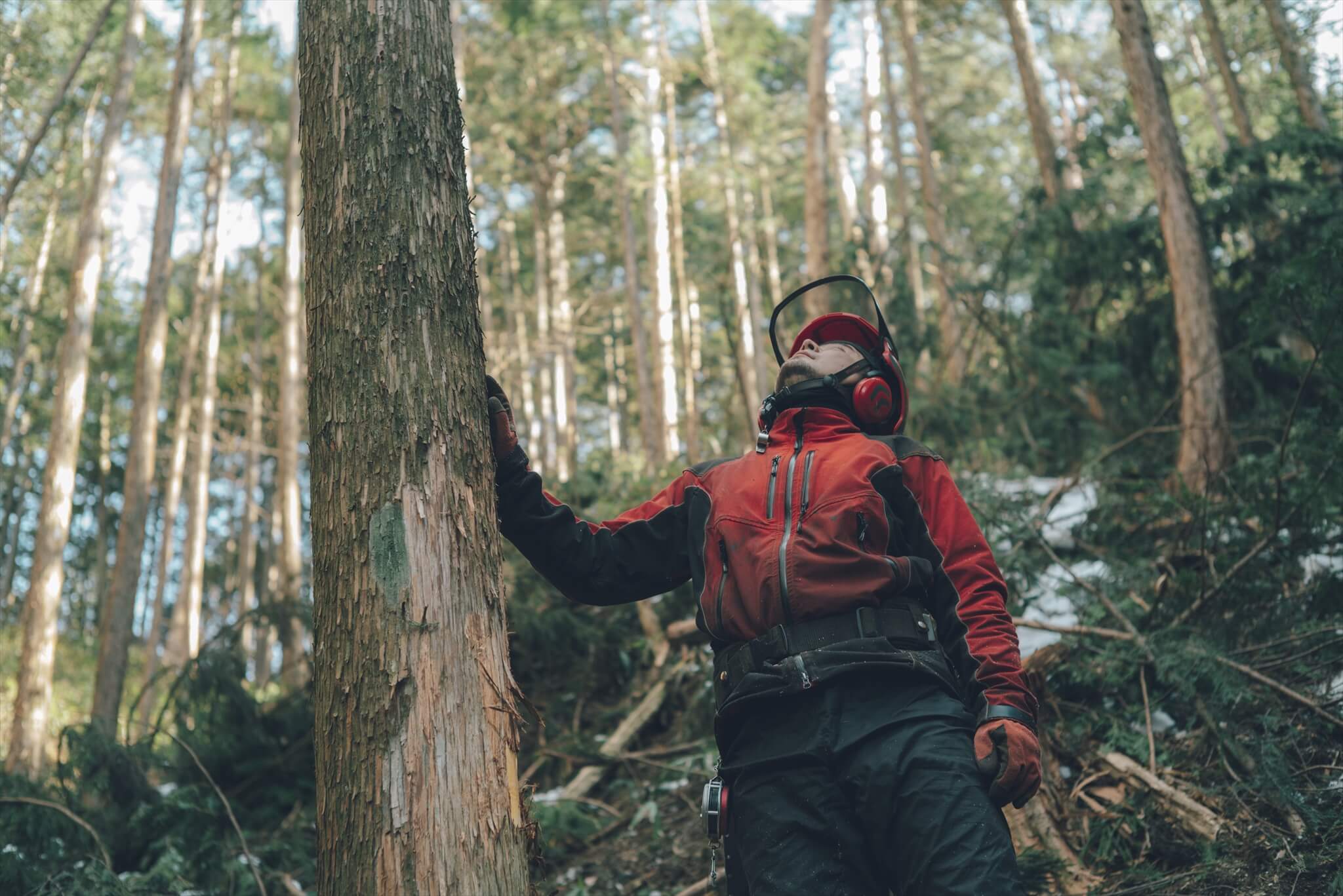 響 hibi-ki | ぎふ木遊館の木が届くまで