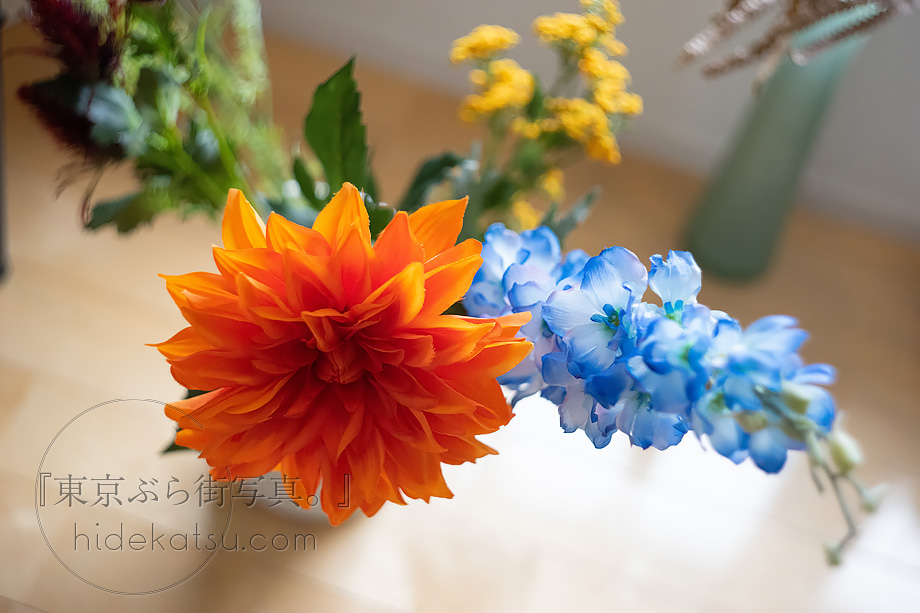 ぐるぐるボケと深いボケのロシアンレンズ Helios 44-2（ヘリオス）58mm