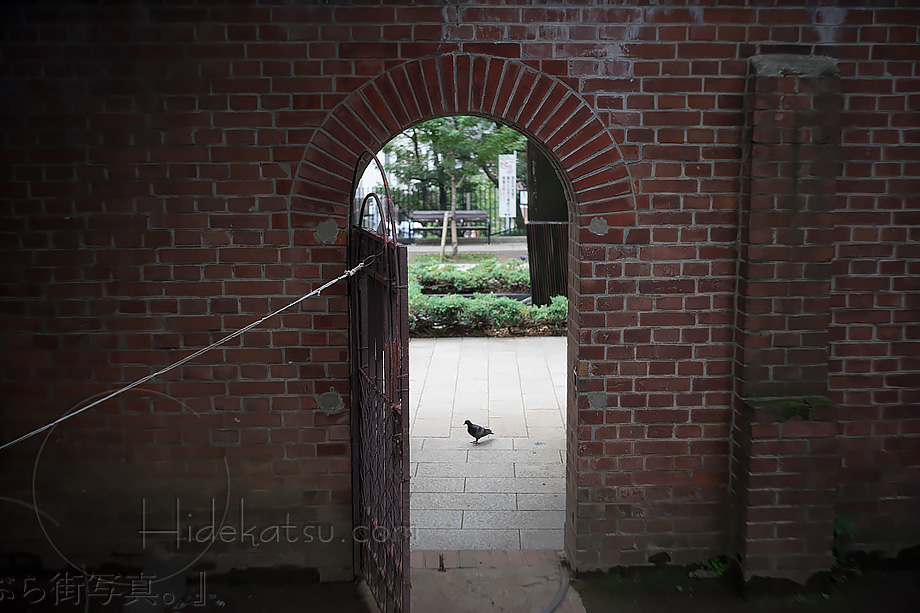 乾いた写りが楽しいんです LOMO Smena-8M用レンズ Triplet-43改造 40mm