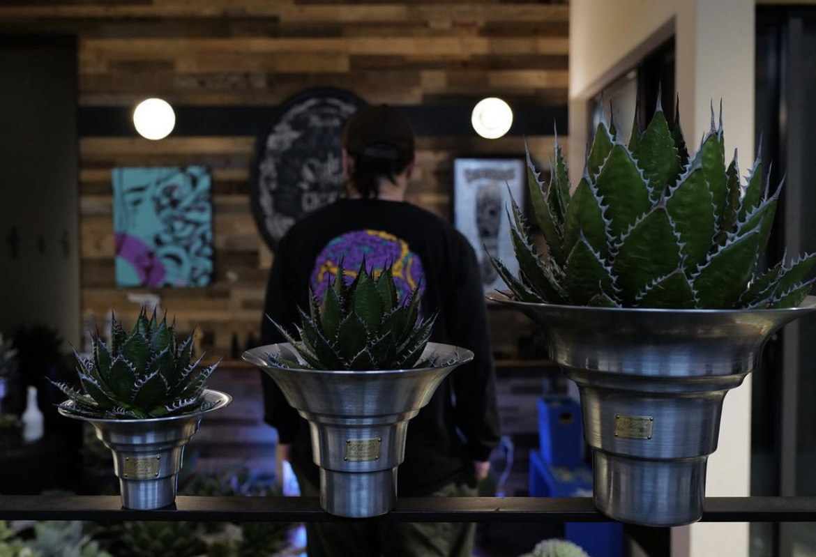 MASSESなど、トリプルコラボ「鉢」再登場 | HIGHSNOBIETY.JP（ハイス