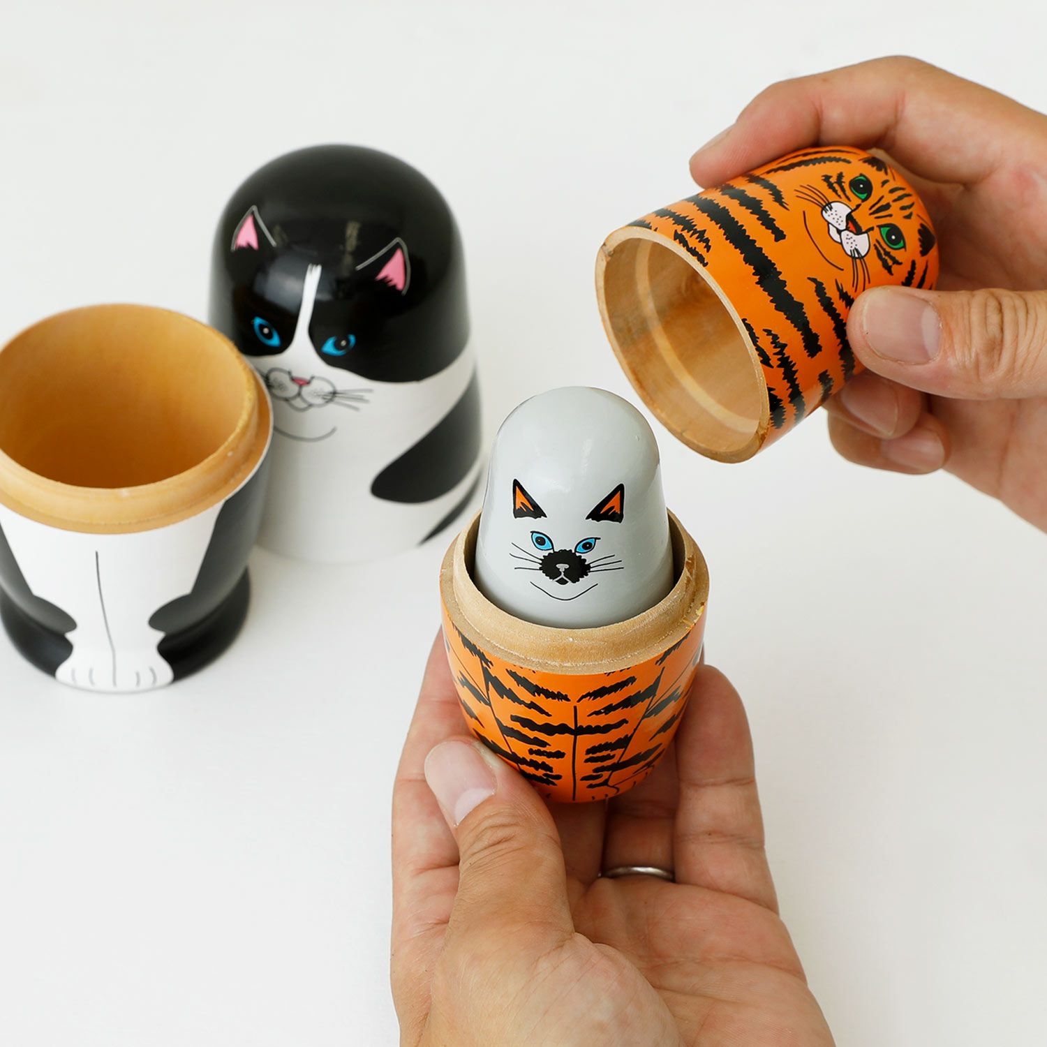 MIDORI KOMATSU Plays with DETAIL INC | Feline 5 フィーライン