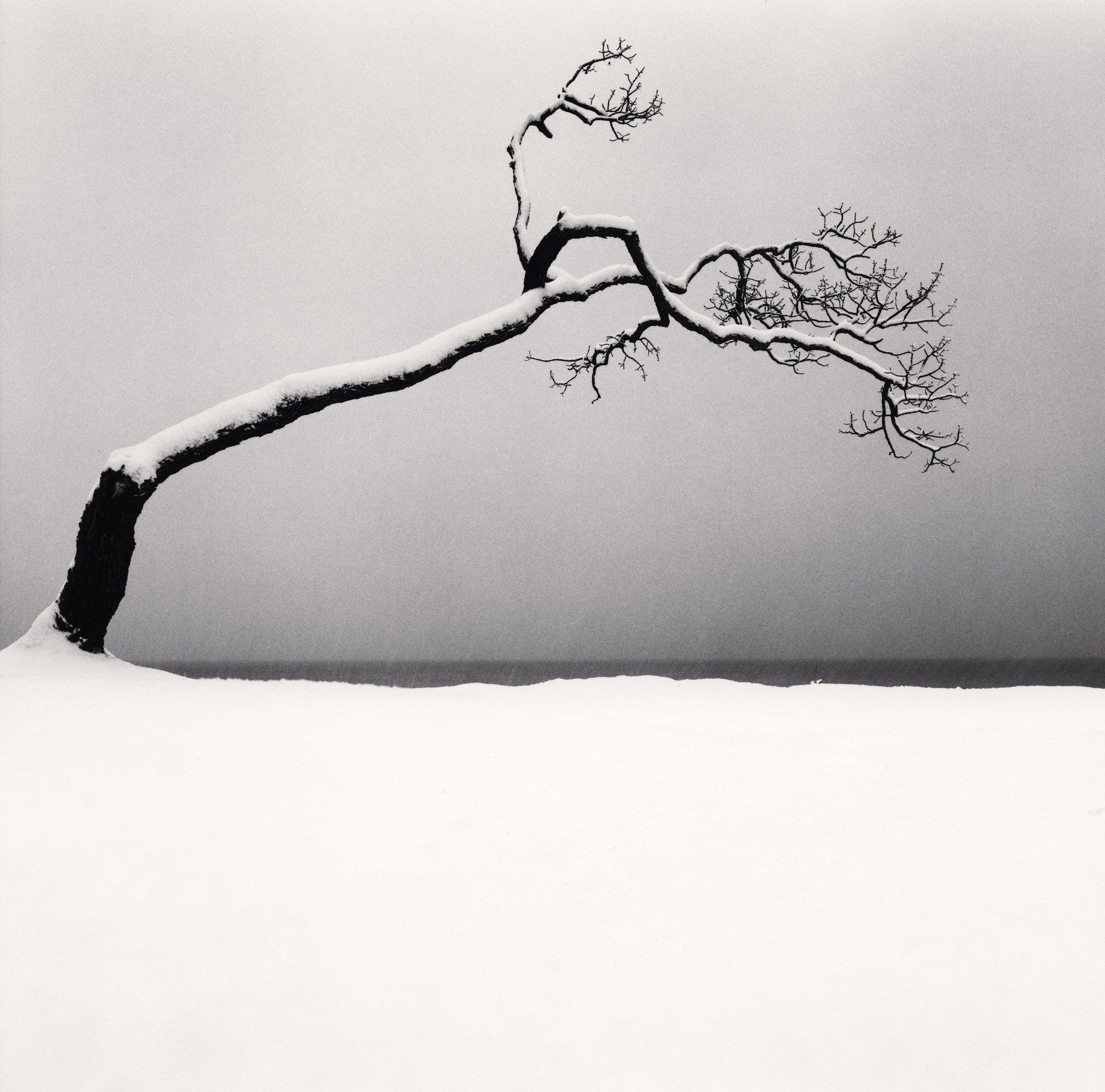 北海道のもっとも美しい瞬間がココに！ 写真家マイケル・ケンナの世界