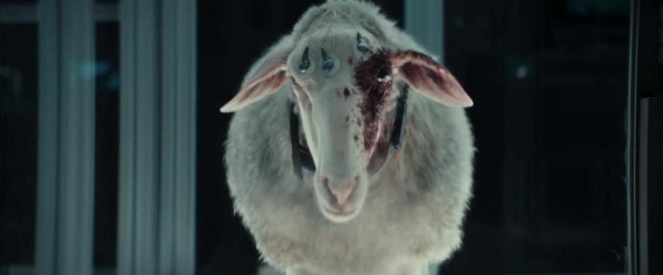 Who Will the Eyeball Octopus Attack in the 'Alien: Earth' Finale?