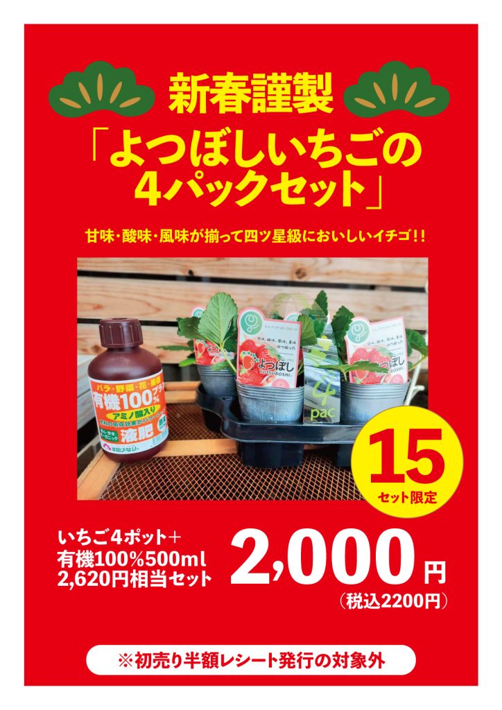 HTN_24_1_newyearsale_pop_1226_