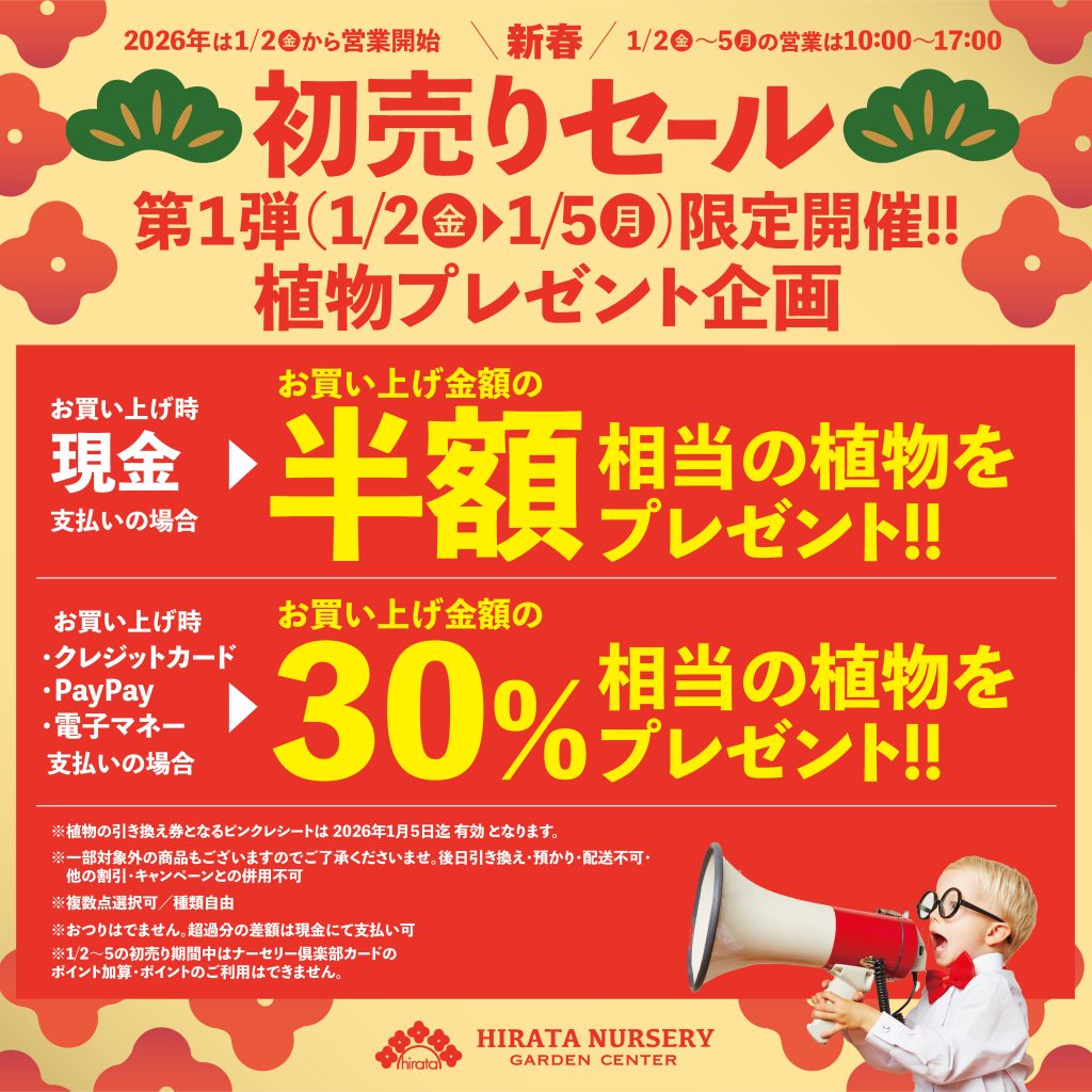 2026.1.2（金）新春 初売りセール開催のお知らせ | くらしに花、心に華
