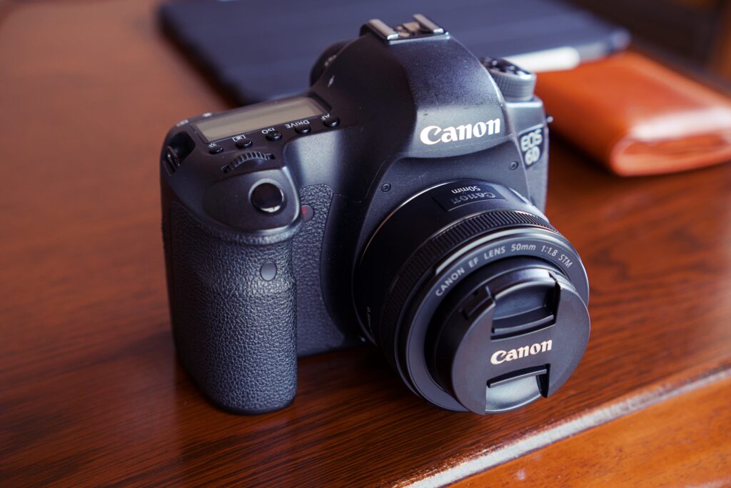 写真散歩】Canon EOS 6Dと春の小道｜古いフルサイズ一眼で自然を楽しむ