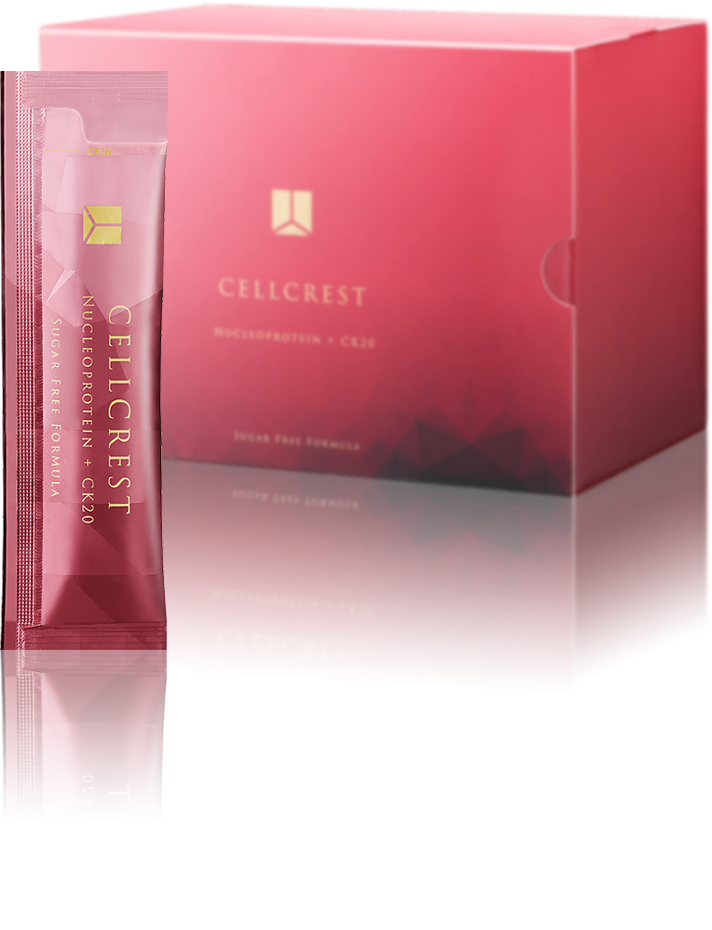 セルクレスト - ヒストリーメーカージャパン公式オンラインショップ