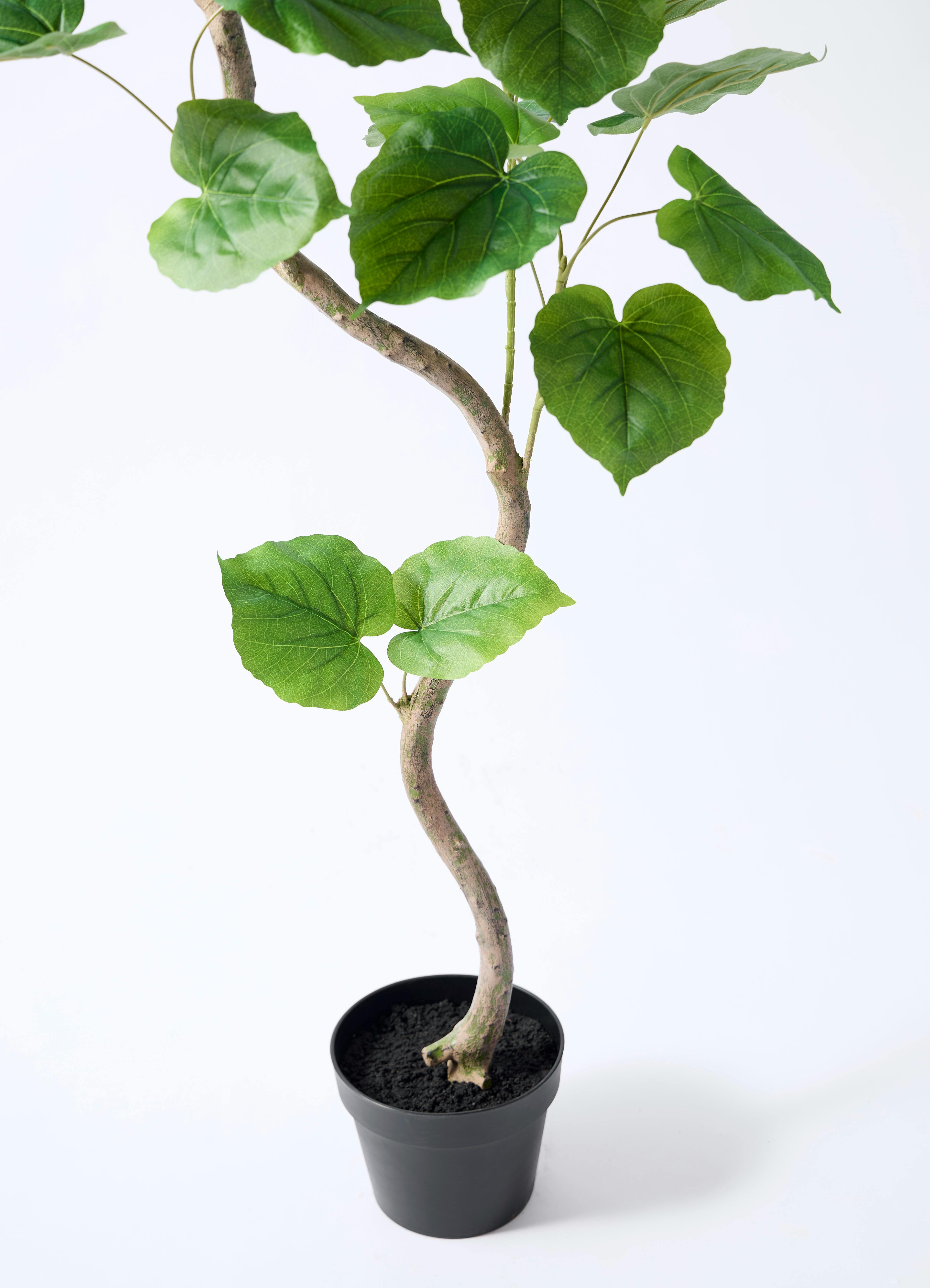 観葉植物【フェイクグリーン】ウンベラータ 曲り 150cm ベースポット