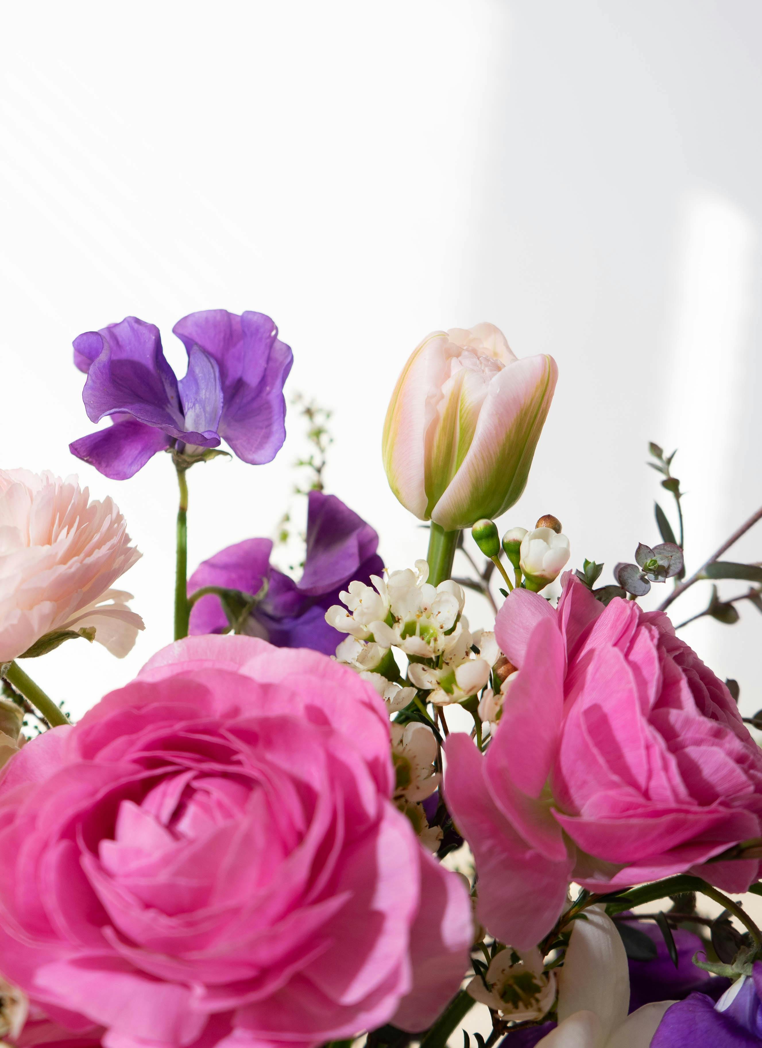 春の花束 ラナンキュラス ピンク S | 花束ならHitoHana(ひとはな)