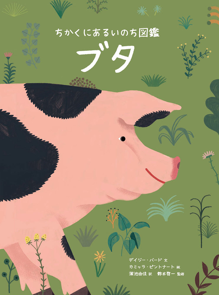 ちかくにあるいのち図鑑 ブタ - 株式会社 化学同人