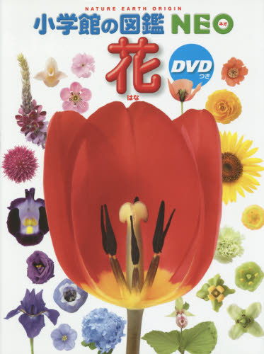 小学館の図鑑NEO DVDつきセット 既22巻｜HONLINE（ホンライン）