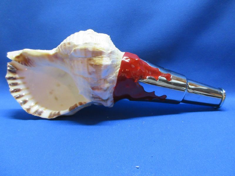 法螺貝（ほら貝）販売のお店