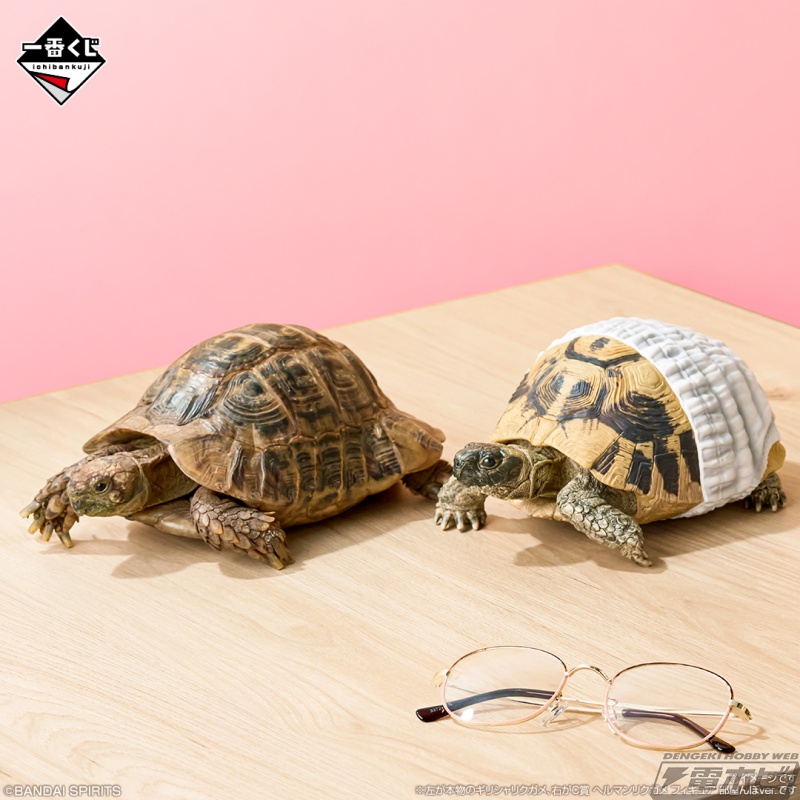 アオジタトカゲやフトアゴヒゲトカゲのリアルフィギュアなど、爬虫類