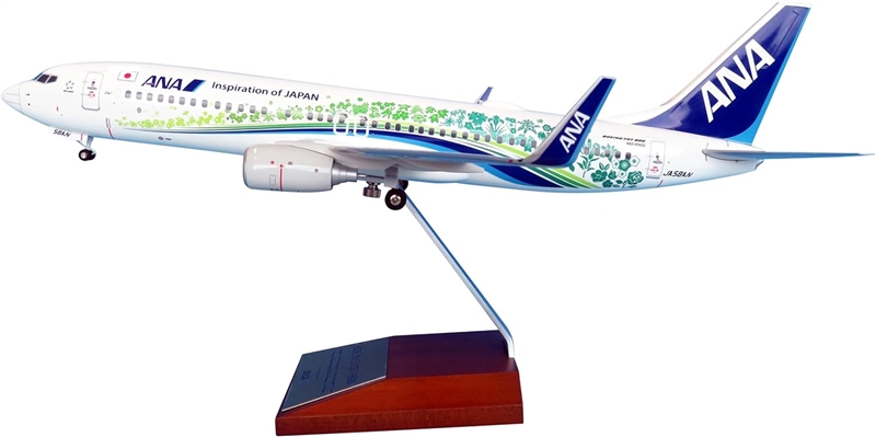 華やかなデザインが魅力！ANAふるさとJET（BOEING 737-800 JA58AN）の1